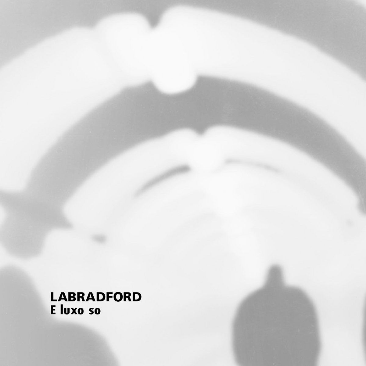 LABRADFORD - E Luxo So