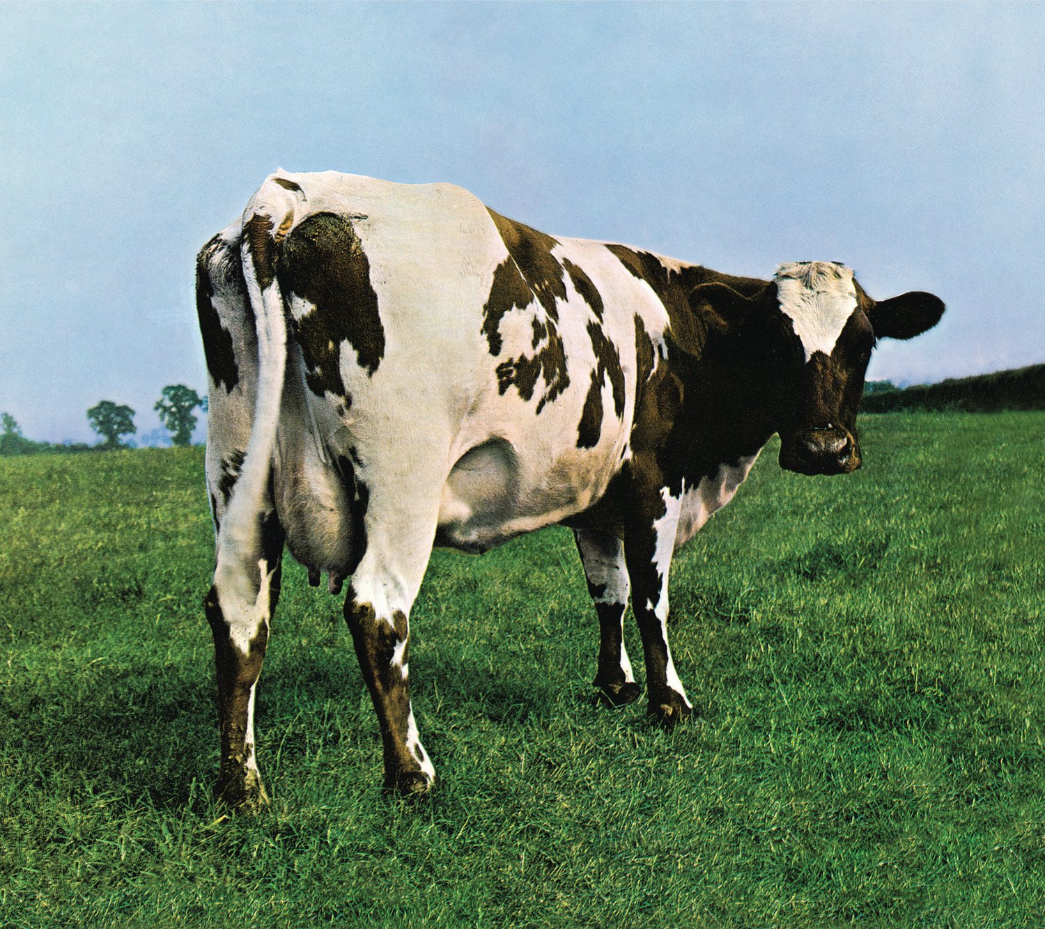 PINK FLOYD - Atom Heart Mother